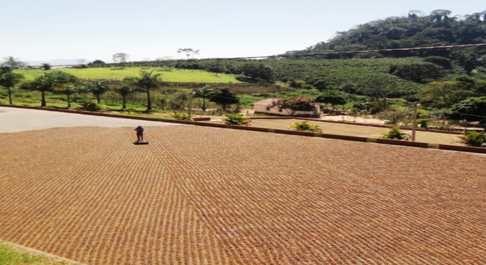 Fazenda Passeio